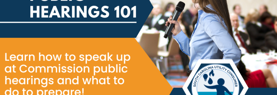 Public Hearings 101 Image